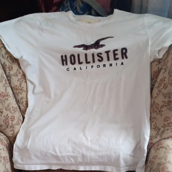 Hollister White Tee with Dark Logo and Seagull - Picture 1 of 4